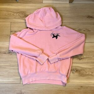 Abercrombie Kids Soft Pink Hoodie
